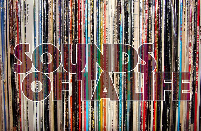 vinyl-records