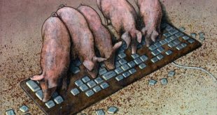 Pigs par Pawel Kuczynski